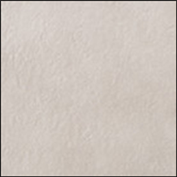 ECP-R/VIT1N