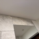 エコカラット、オーダーミラー